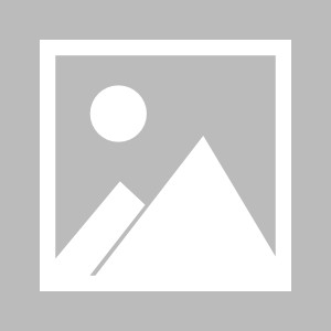 世界杯官方app下载-林良锋：曼联拒绝成熟，奥莱拒绝成绩，做老二真好！