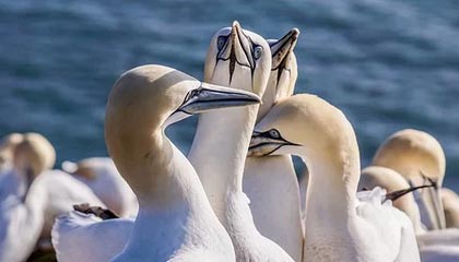 世界杯直播官网入口-为2022倒计时 "新发展格局与北京冬奥"峰会召开